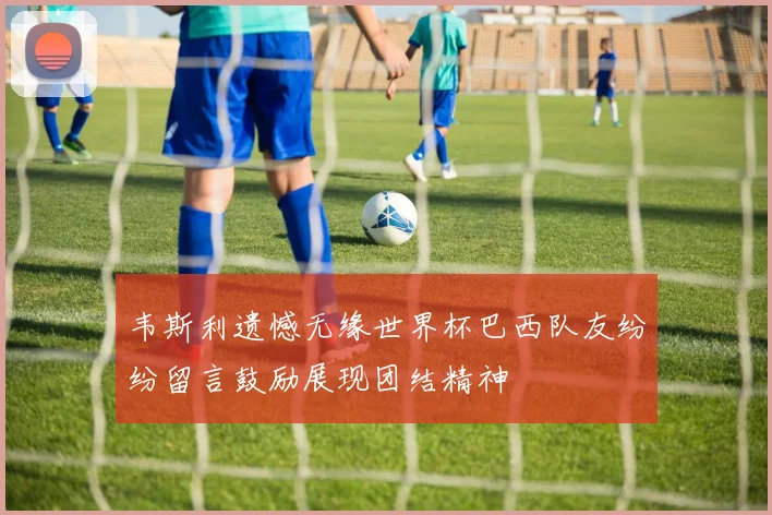 韦斯利遗憾无缘世界杯巴西队友纷纷留言鼓励展现团结精神