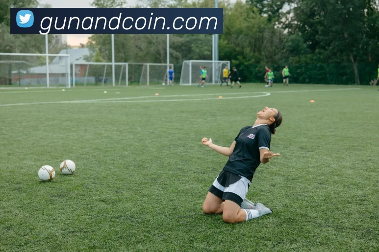 企业概况